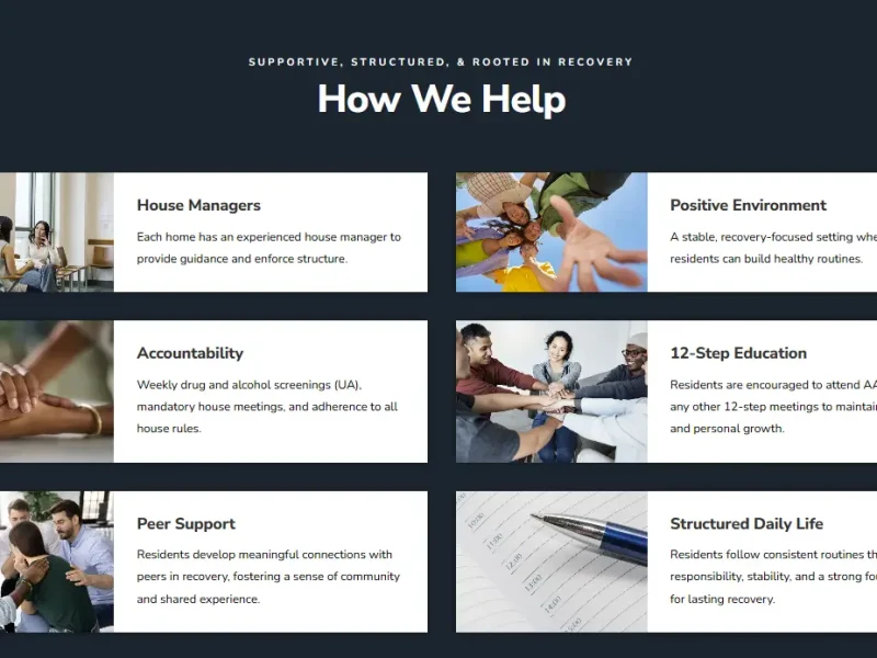 Website Design and Optimization